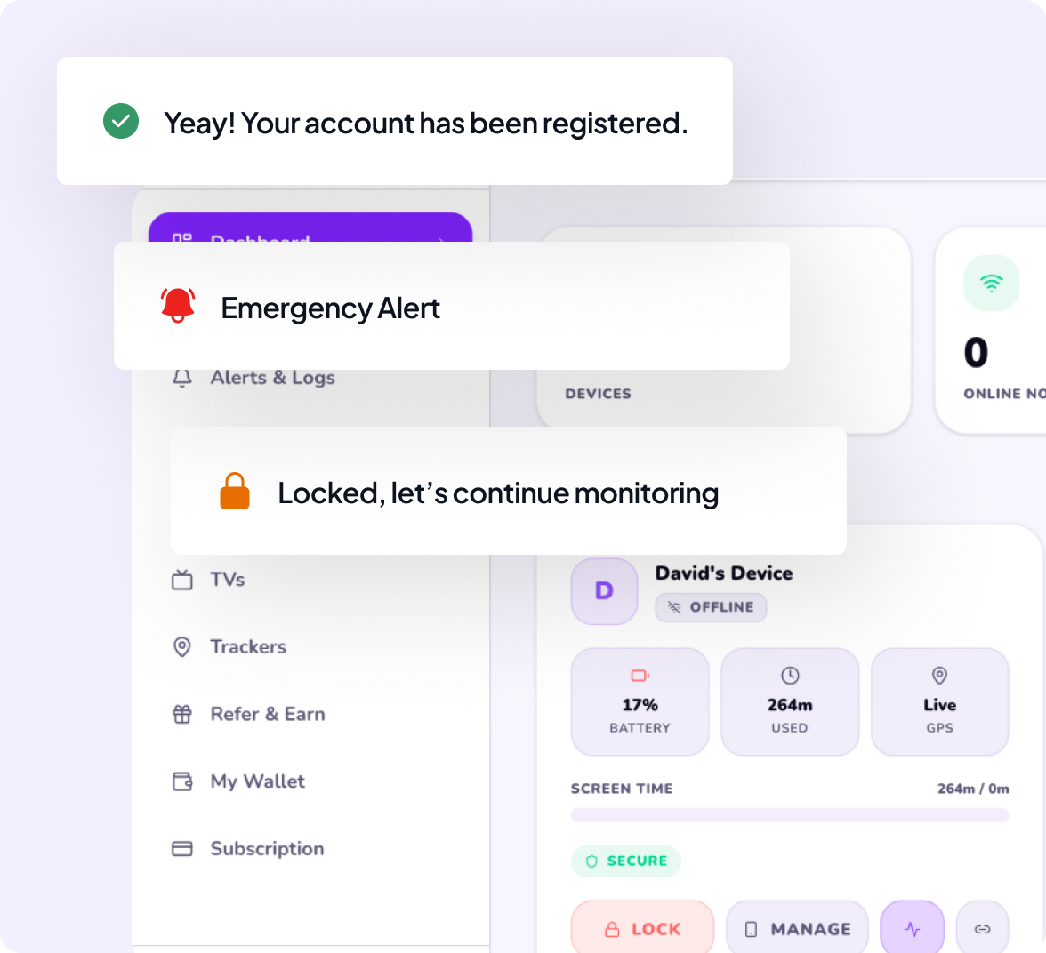 Setup steps illustration